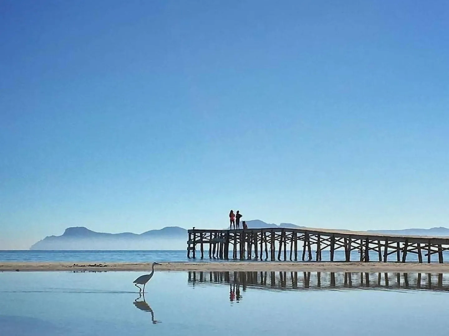 Apartamentos venecia a unos pasos de la playa Puerto de Alcúdia España
